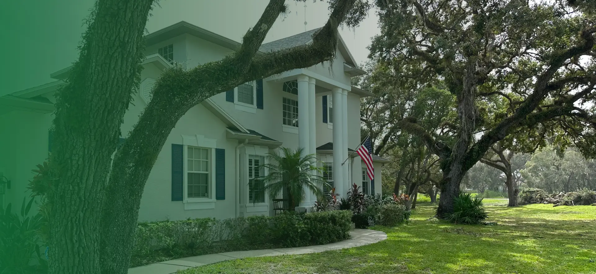 Five Star Tree Service Bradenton, FL Hero 1