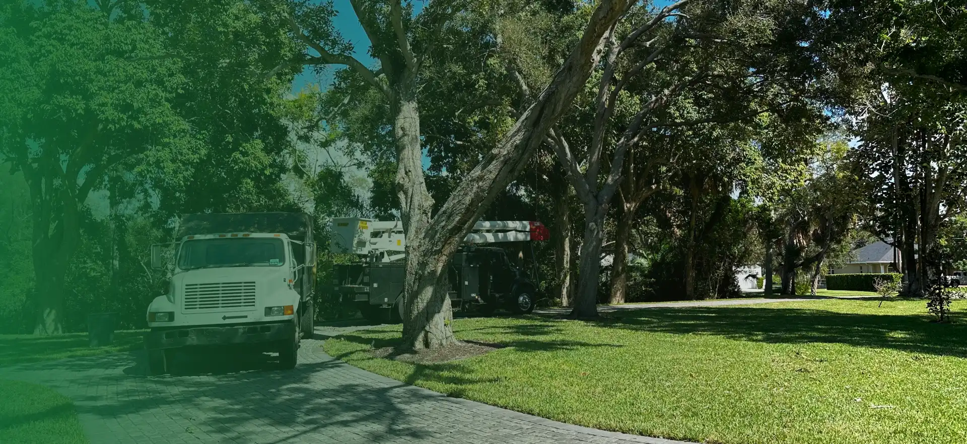 Five Star Tree Service Bradenton, FL Hero