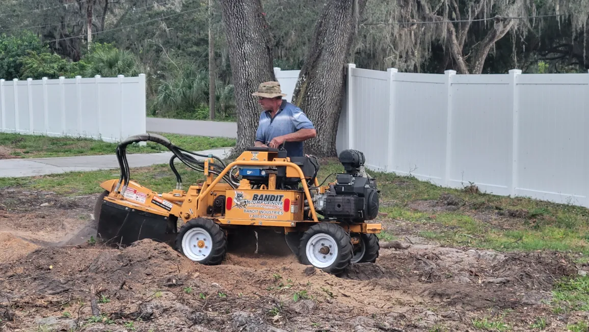 Vindeo Inspections Image 2 Professional stump grinding service by Five Star Tree Service Bradenton, FL using orange Bandit stump grinder equipment in residential yard