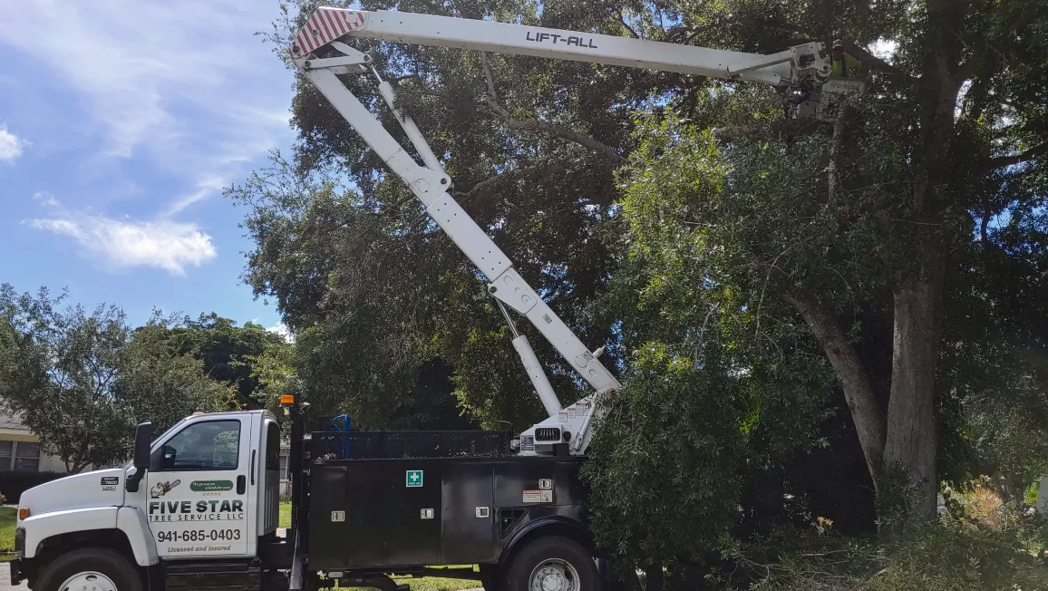 Vindeo Inspections Image 2 Tree trimming service by Five Star Tree Service Bradenton, FL with lift-all bucket truck extended for canopy pruning in residential area