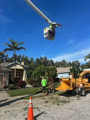 tree services in Ridge Wood Heights, FL